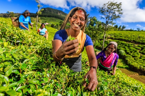 Sri Lanka